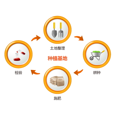 粮食种植基地追溯-正航追溯系统