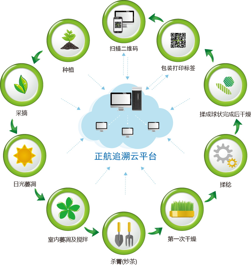 茶叶生产过程追溯-正航追溯系统